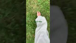 #music