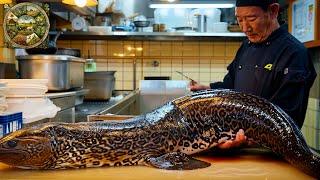 Explore Japanese cuisine, How the chefs prepare Giant Moray Eel into delicious dishes- Emison Newman