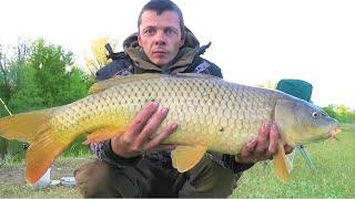 A BEAST in a wild river ON A WORM!!!! Fishing in spring for carp