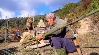 jungle man's life in the jungle with his wife || a family in the jungle || @junglefamilycooking