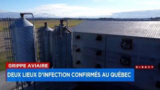 Deuxième site d’infection de grippe aviaire dans une ferme de la Montérégie