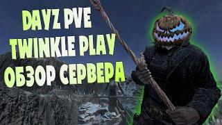 Обзор Сервера Dayz | ТОП PVE Сервер в Дейз TWINKLE PLAY