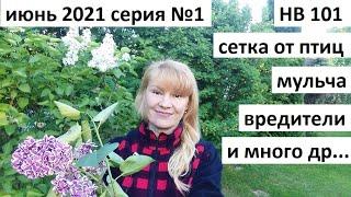 Июнь 2021 серия №1. НВ-101 от стресса и болезней. Спасем клубнику от дроздов и много что еще........