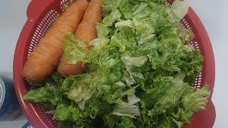 OBELILLY FAMILY TV AND LIFESTYLES: LET'S EAT Salad  for Dinner