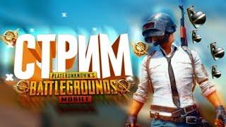 PUBG MOBILE OXOTNIK TIGR LIVE FAQAT OV QILISH TOP 1GACHA