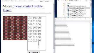 ROM Decap Image Analyser   v0 11