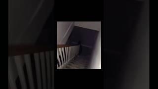 Do NOT Subscribe If You Want Peaceful Sleep   #horrorgenre #SleepWarning #NightmareFuel #Paranormal
