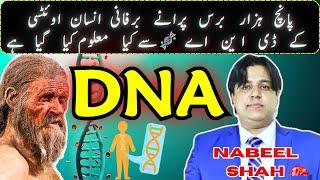 DNA- Structure and function of Deoxyribonucleic Acid (DNA)/NABEEL SHAH OFFICAL