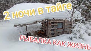 НОЧУЕМ В ИЗБЕ. ЕДИМ УХУ. РЫБАЛКА В ХОРОШЕЙ КОМПАНИИ. ЧАСТЬ 1.