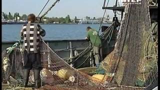 131111 Украинские ученые - злостные браконьеры.