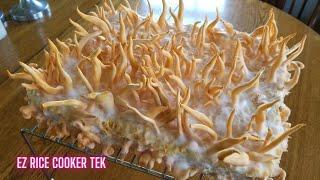 HOW TO GROW CORDYCEPS MUSHROOMS, Tips and Tricks from Start to Finish, Cordyceps militaris