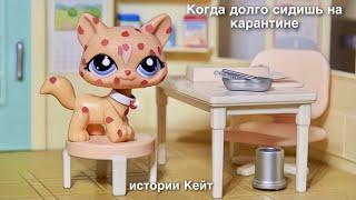 LPS : АЛЛЕРГИЯ / ИСТОРИИ КЕЙТ № 2