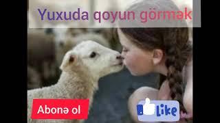 Yuxuda quzu, qoyun görmək. SƏSLİ