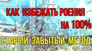 Забытый противороевой метод. Причины роения пчелосемей на пасеке .Как избежать роения пчел