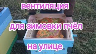 Зимовка пчёл на воле. Верхняя вентиляция. Как избежать влаги. Пчеловодство!