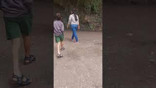 Let's see Jibhi with me 59 seconds #jibhi #jibhiwaterfall #minithailand #jibhivalley #manali #shorts