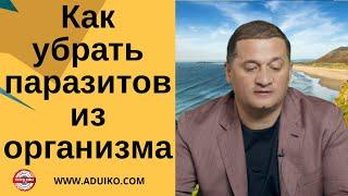 Как убрать паразитов из организма  Рекомендации Дуйко А.А.