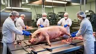 How Thousands of Pigs Are Raised and Processed Every Year – The Success Formula