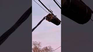 Fiber splice enclosure hanging way too low—supposed to be 10 to 18 feet off the ground.