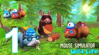 Mouse Simulator Wild Life Gameplay Walkthrough Part 1 (IOS/Android)