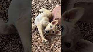 How adorable you are!#cute