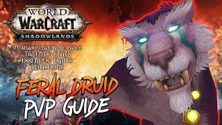 9.0 FERAL DRUID PvP GUIDE - Talents, Stats, Essences, Azerite, Rotations- WoW: Shadowlands Pre-Patch