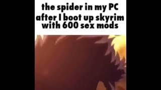 the spider in my PC after I boot up skyrim with 600 mods