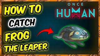 Once Human - Best Way To Catch FROG THE LEAPER!