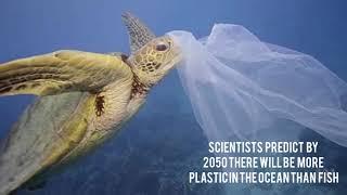 Plastic Pollution PSA | Earth Day 2019