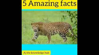 5 Amazing facts # short video - Aj the knowledge hub |