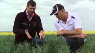 Managing the threat of broadleaf resistance Corack Sept 2013