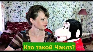 7. Кто такой Чаклз?