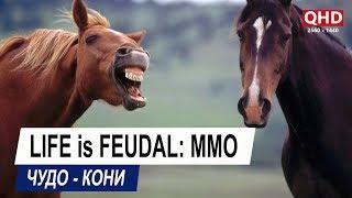 [2K] Life is Feudal: MMO | Miracle horses / Чудо-Кони [60 FPS]