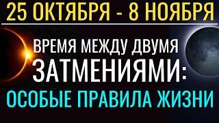 Время между Затмениями 25 октября - 8 ноября 2022: Особые правила жизни