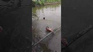 hài hước vui nhộn quá