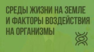 Среды жизни на Земле и экологические факторы воздействия на организмы. Видеоурок по биологии 9 класс