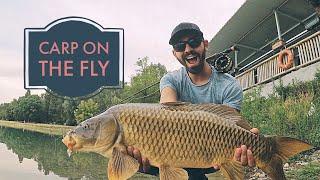 CARP ON THE FLY