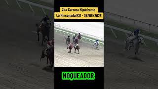 NOQUEADOR - 2da Carrera hipódromo La rinconada R21 #foryou #hipismo #inh #race #parati #caballos