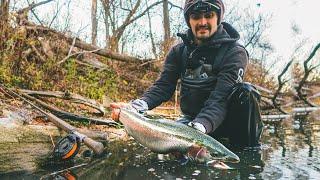 Fall Steelhead Spey Fishing 2022 - GRABS + RUNS