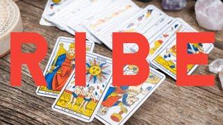 RIBE NOVO TAROT ČITANJE ️ ŠTA VAM TO DOLAZI A VI NE VIDITE