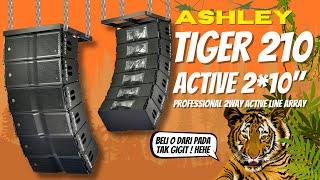 BIKIN MERINDING ! ASHLEY TIGER 210 JADI LINE ARRAY AKTIFAN PALING VIRAL DI 2025