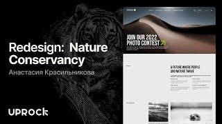 Nature Conservancy— Презентация редизайна корпоративного сайта [Школа дизайна UPROCK]