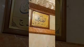 Masjid Nabvi Riaz ul jannah #muhammadﷺ #masjidnabawi #madina #foryou #viral #love #saqibrazamustafai