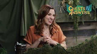 Quests N’ Answers | Inside Sagas of Sundry: Goblin Mode Ep. 18