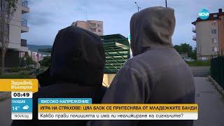 „Колкото повече биеш, толкова повече те уважават“: Как се става част от групата на „локалите“
