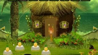 Adorable World Escape Video Walkthrough