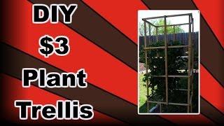 DIY Plant Trellis