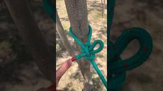 How To Tie A Knot 