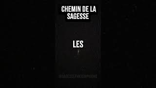 Conseils pour une Vie Épanouissante #sagesse #leçondevie #conseil #mindset #citation