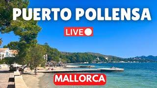  Live in Puerto Pollensa, Mallorca (Majorca) | 20 October 2024